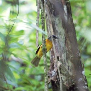 476117151_122199332108177611_2894687580551981036_n