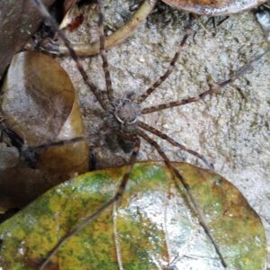 476424181_122199331916177611_1623837705481687383_n