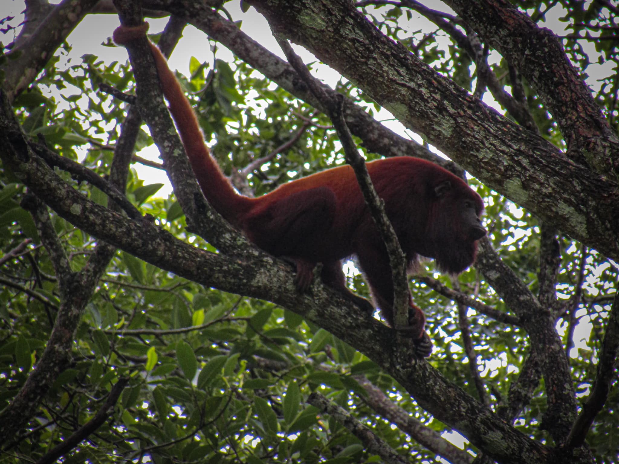 477210085_3808194996158961_4459344292715709769_n